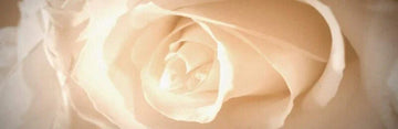 ode to Thérèse.