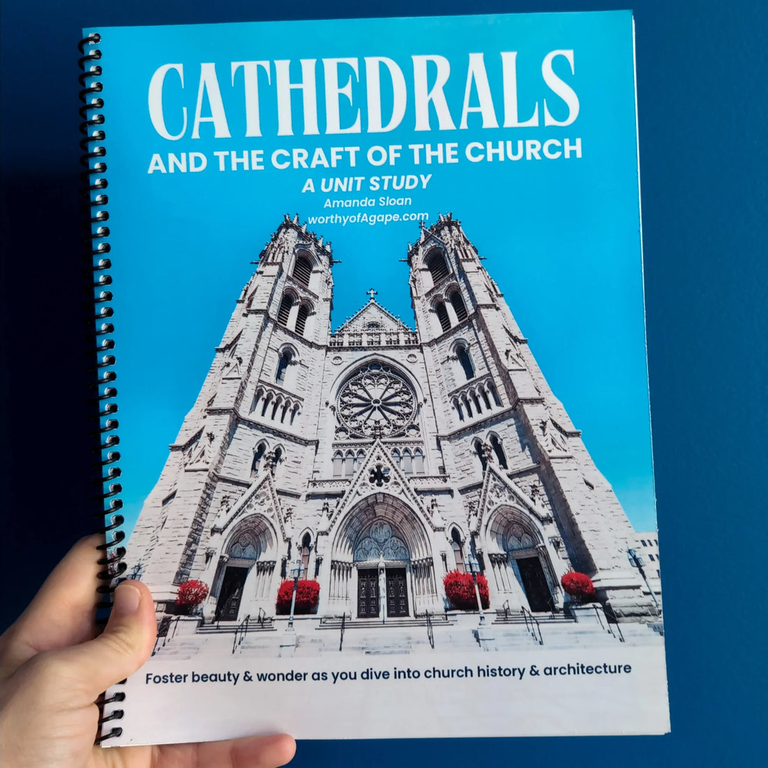Cathedrals Unit Study - Teacher Guide, Worksheets, Resources (All In One)