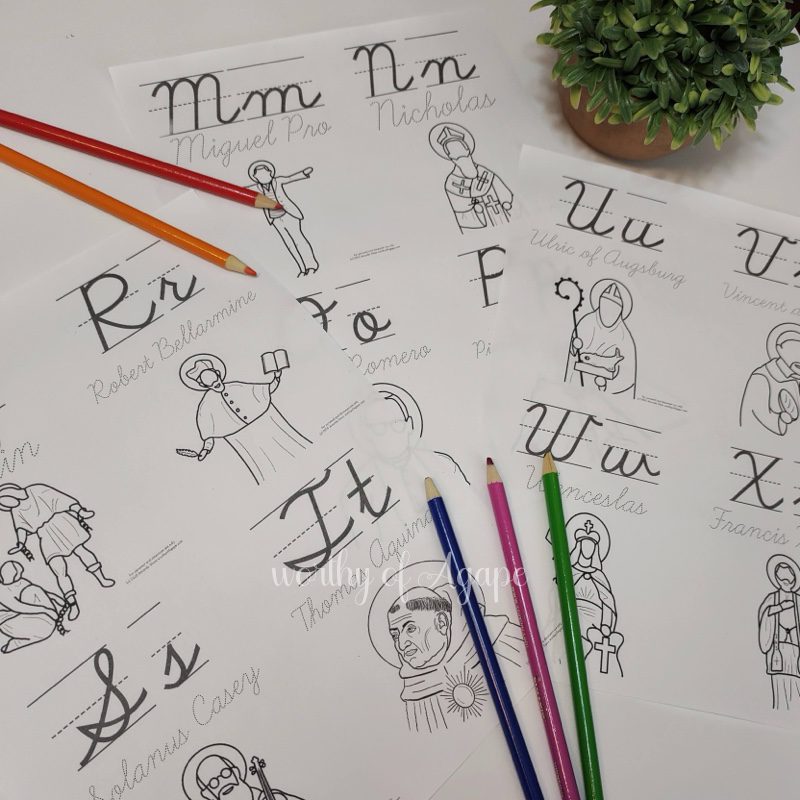 Saintly Male Cursive Alphabet Flash Cards