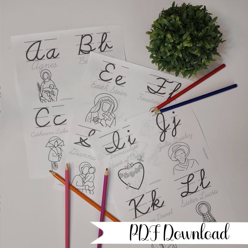 Saintly Female Cursive Alphabet Flash Cards